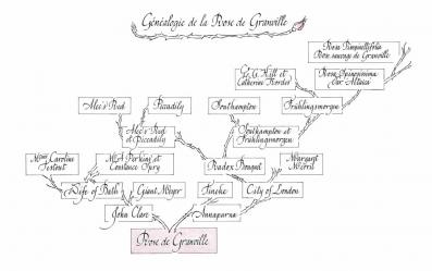 Dior - Rose de Granville